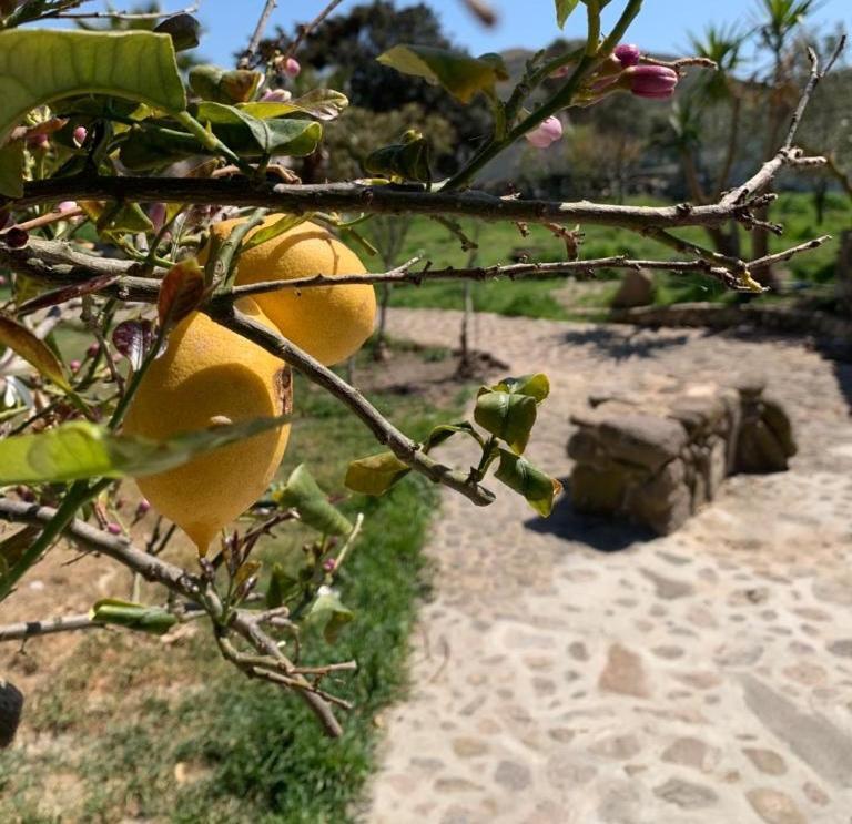 Tenuta Blancamar Country Bed & Breakfast Crisionis Luaran gambar